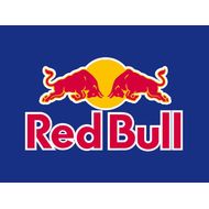 Energetico-Red-Bull-Energy-Drink-250ML