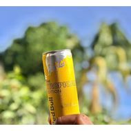 Energetico-Red-Bull-Frutas-Tropicais-Edition-250ML