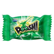 Chiclete-Poosh-Hortela---Display-com-200G